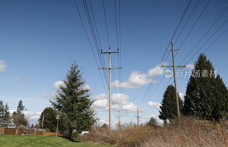 Rows of Power lines in Metro Vancouver, Canada